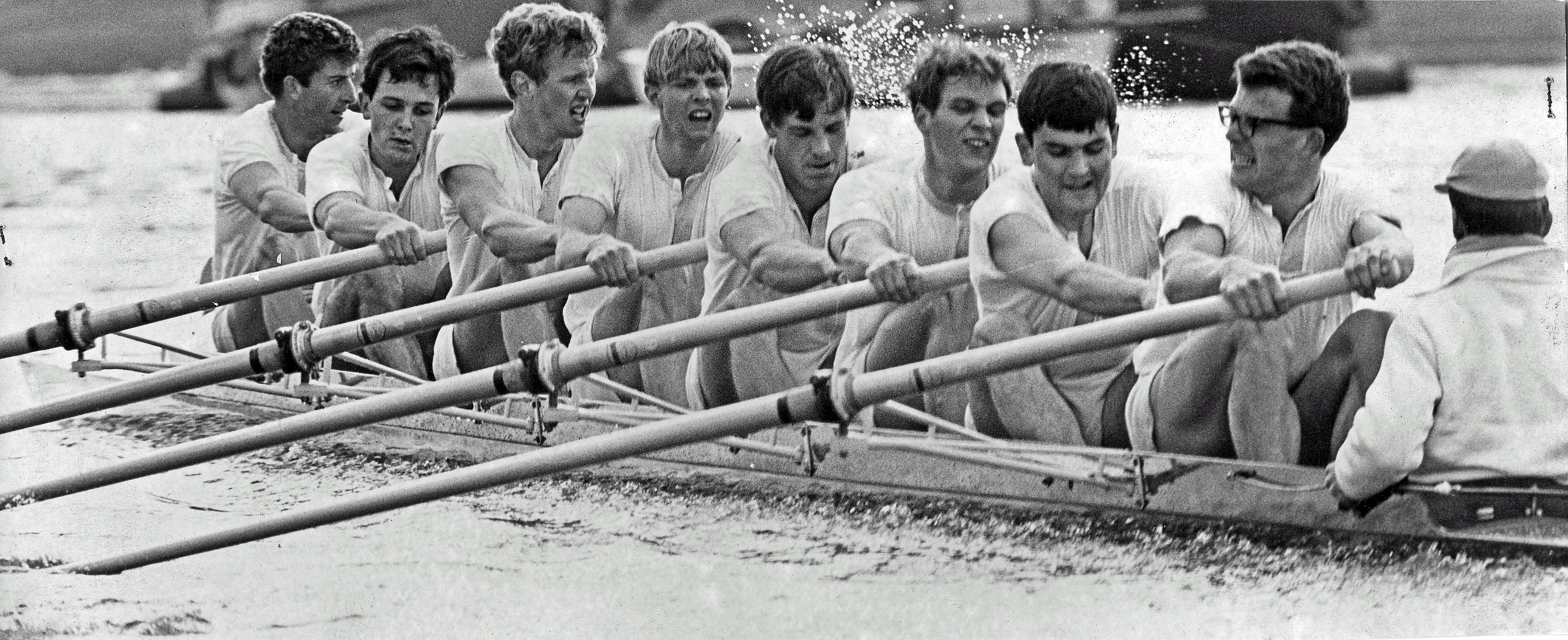 In Memoriam: David Earl (B. 1967, Go. 1966)